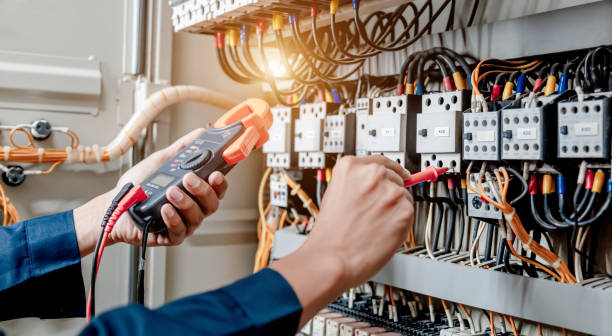 Best Electrical System Inspection  in De Soto, IL