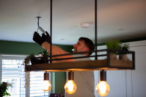 Best Electrical System Inspection  in De Soto, IL